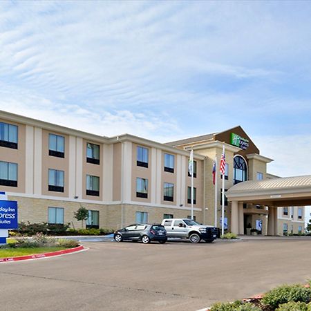 Holiday Inn Express And Suites Schulenburg By Ihg Экстерьер фото